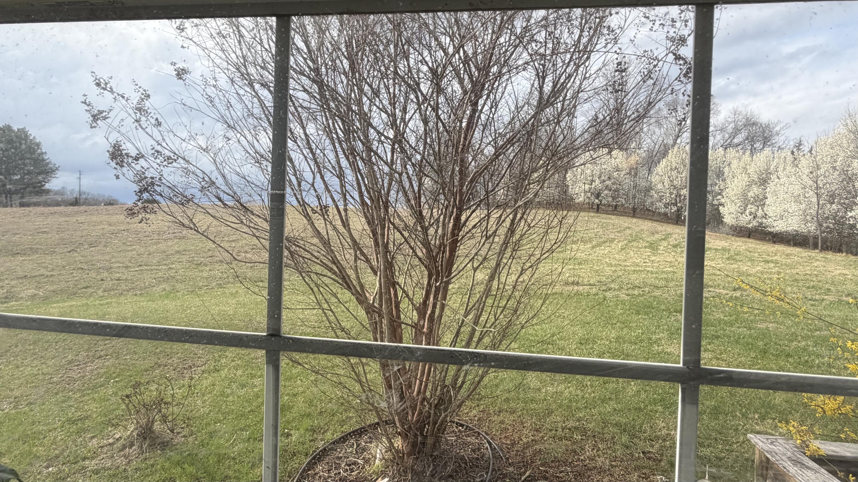 2578 Spradlin Road Vinton, VA 24179 - Photo 17 of 22 IMG_7232