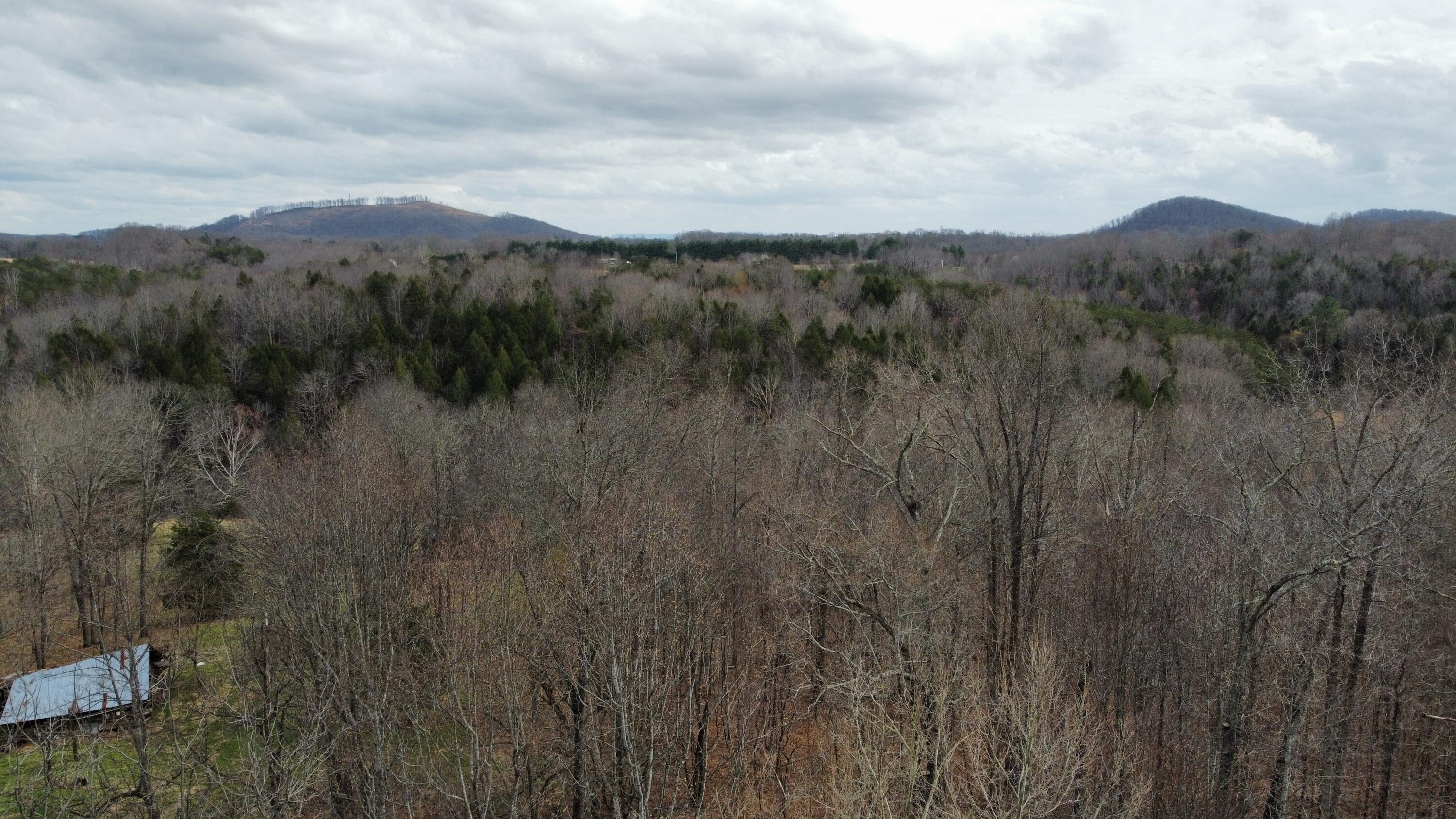 2578 Spradlin Road Vinton, VA 24179 - Photo 20 of 22 2578 9