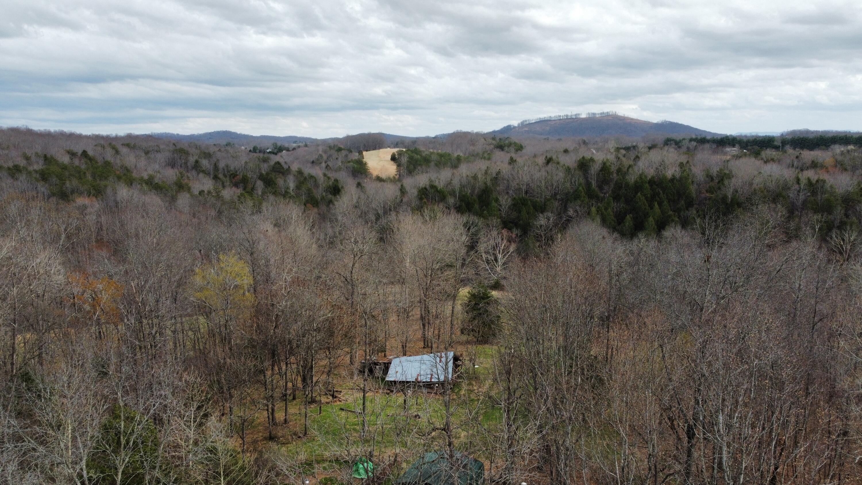 2578 Spradlin Road Vinton, VA 24179 - Photo 21 of 22 2578 8