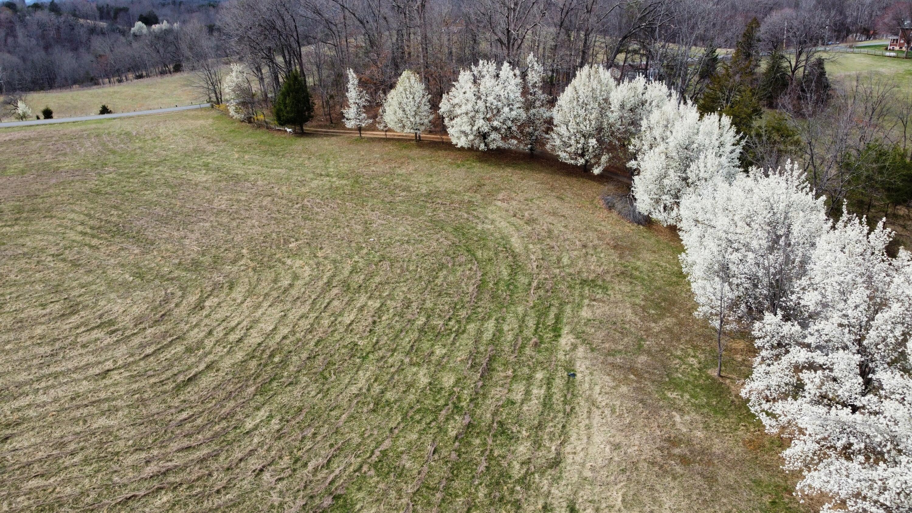 2578 Spradlin Road Vinton, VA 24179 - Photo 3 of 22 2578 12