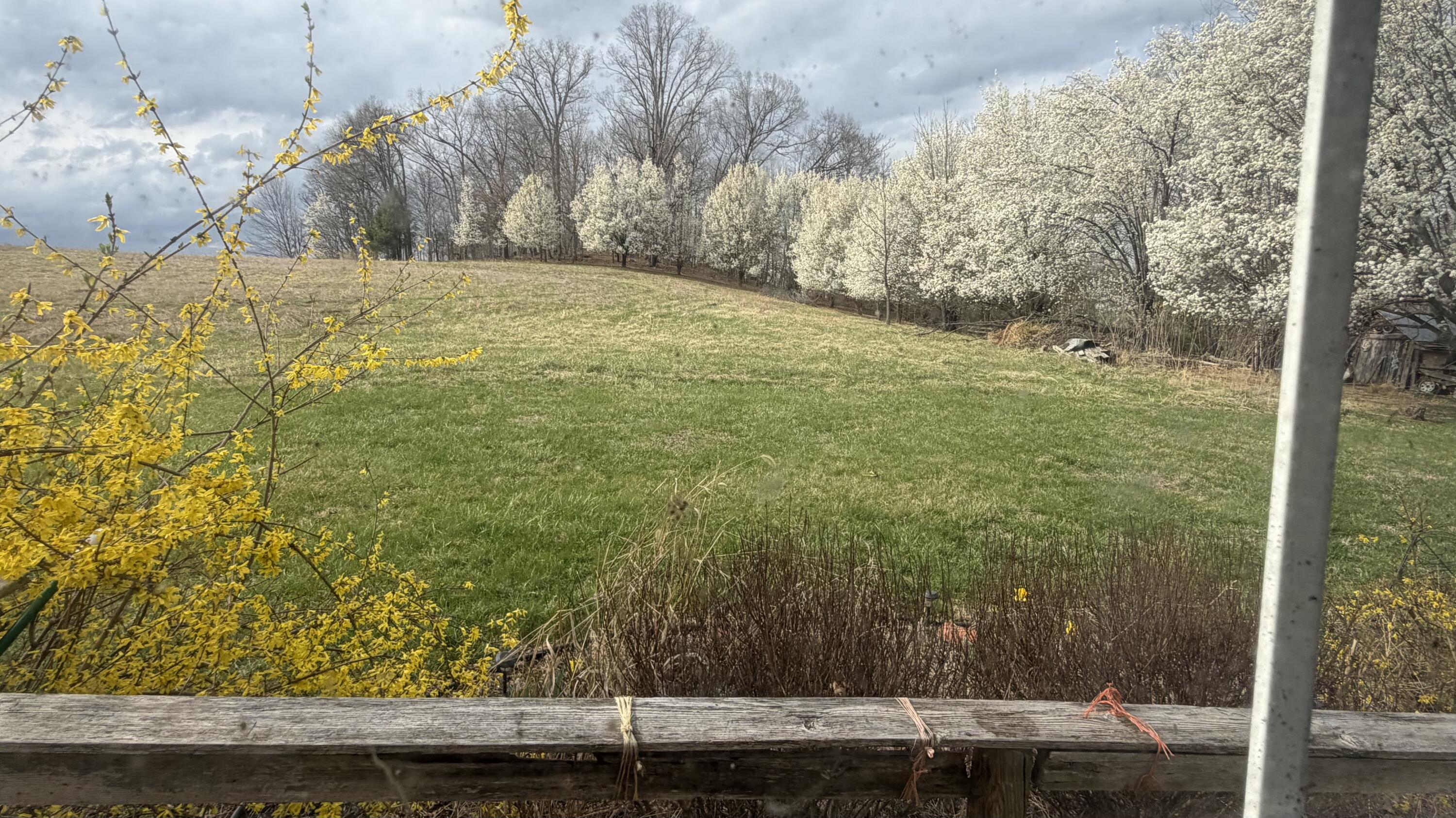 2578 Spradlin Road Vinton, VA 24179 - Photo 8 of 22 IMG_7233