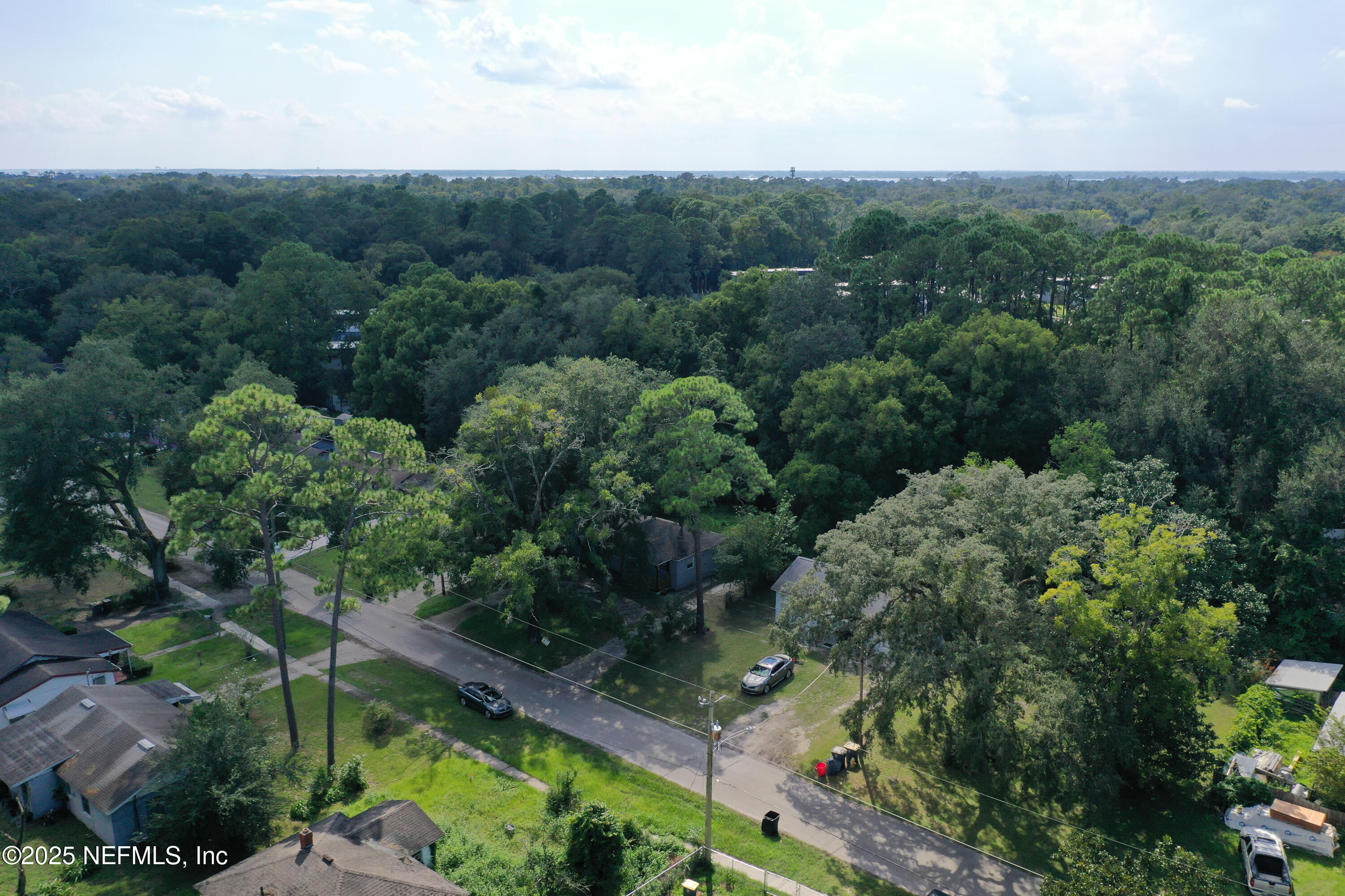 3812 Freeman Road Jacksonville, FL 32207 - Photo 10 of 10 Aerial