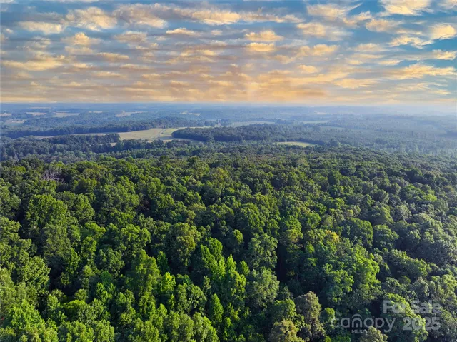 a view of a city with lush green forest