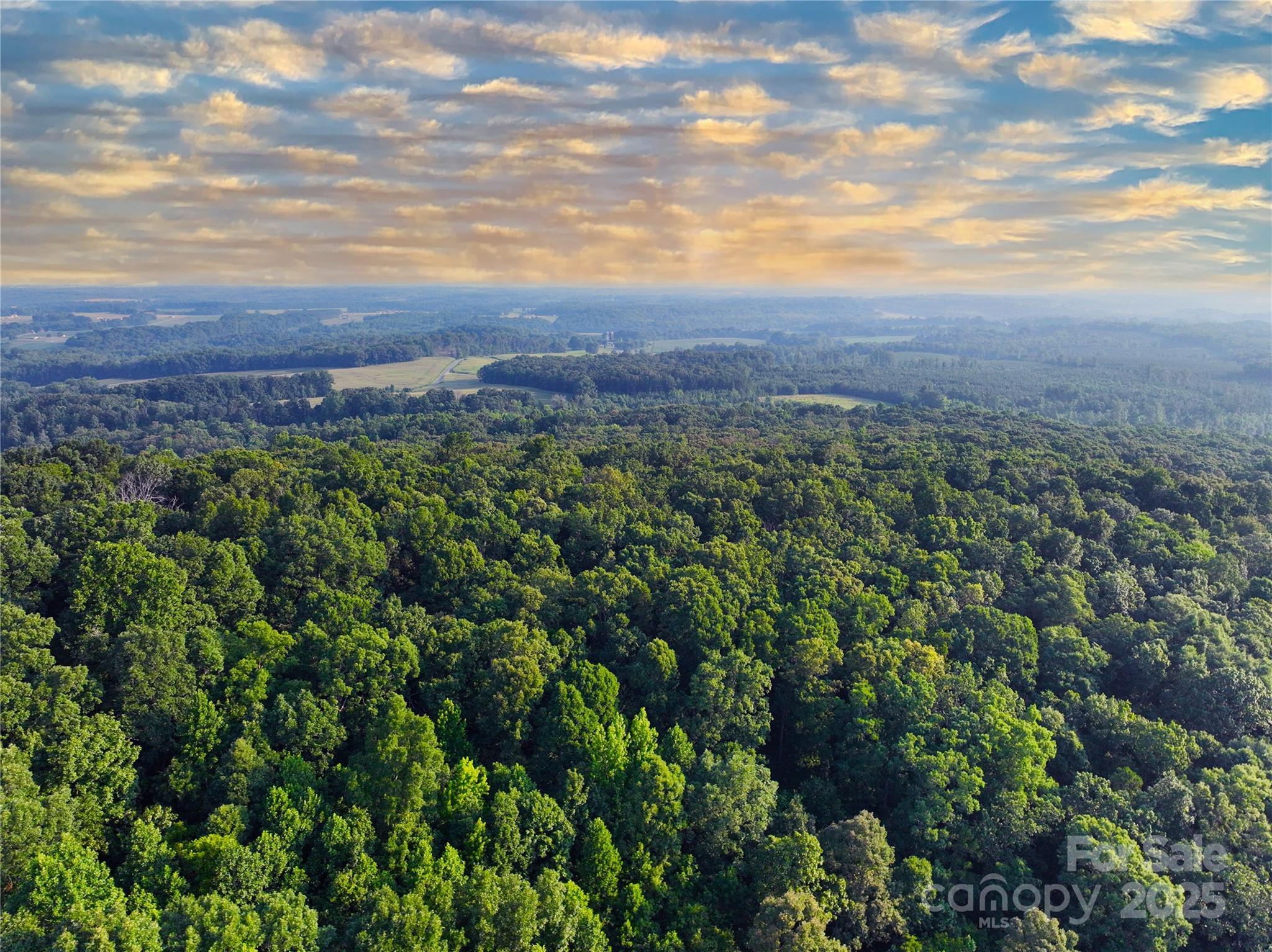 Tbd Mt Hall Road Cleveland, NC 27013 - Photo 2 of 11 a view of a city with lush green forest