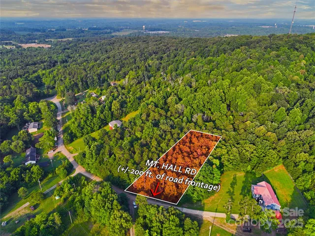 a view of a yard with plants