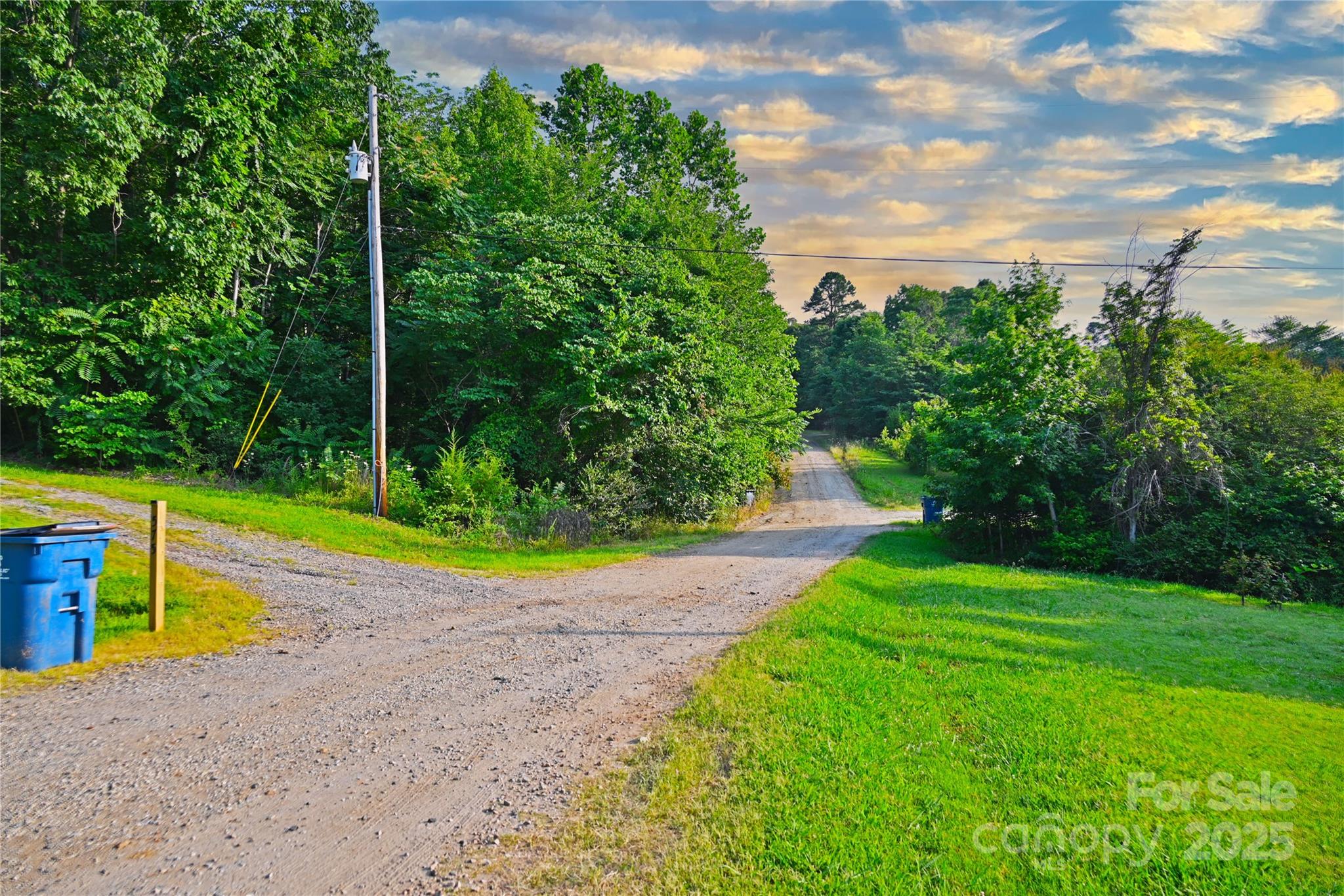 Tbd Mt Hall Road Cleveland, NC 27013 - Photo 4 of 11 a view of a park with large trees