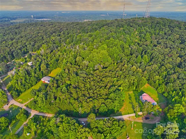a view of a bunch of plants and flowers