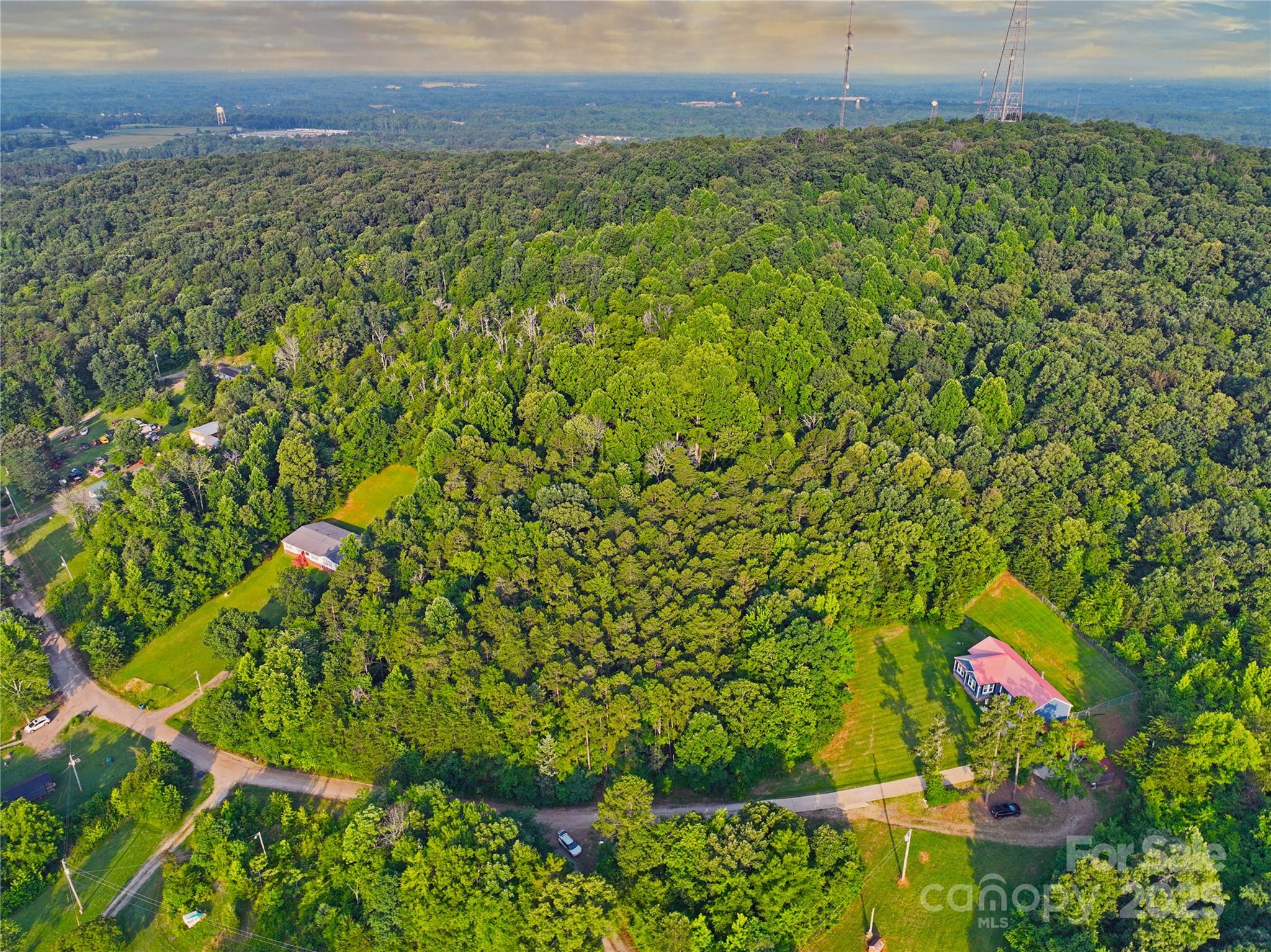 Tbd Mt Hall Road Cleveland, NC 27013 - Photo 5 of 11 a view of a bunch of plants and flowers