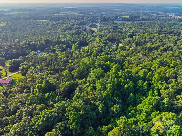 a view of a lush green field with lots of bushes