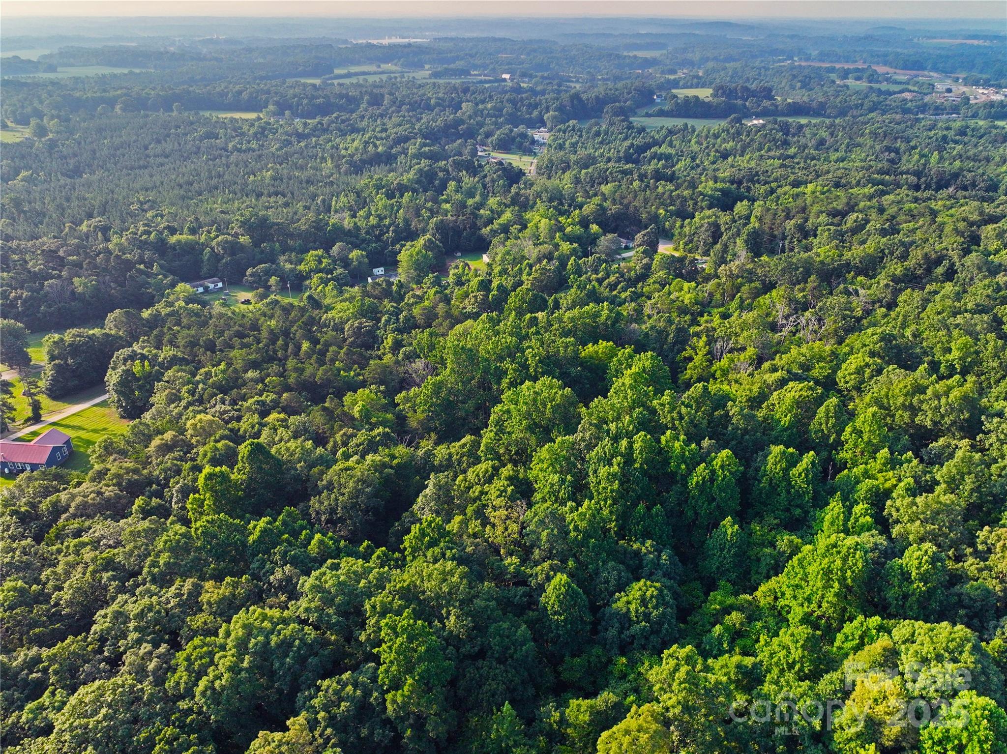 Tbd Mt Hall Road Cleveland, NC 27013 - Photo 8 of 11 a view of a lush green field with lots of bushes