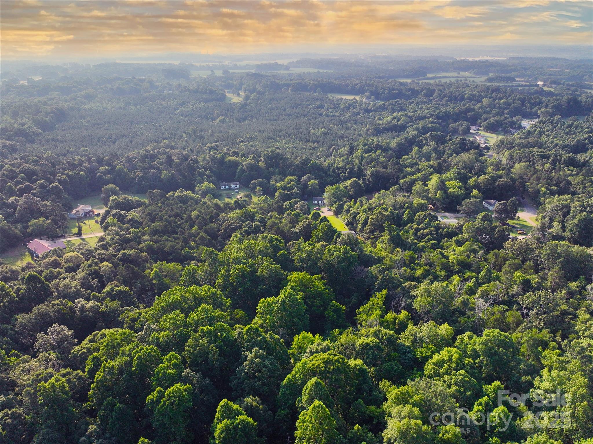 Tbd Mt Hall Road Cleveland, NC 27013 - Photo 9 of 11