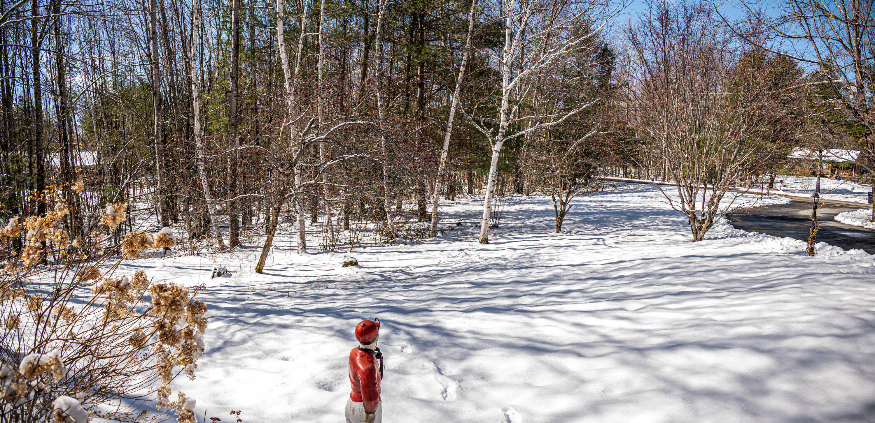 71 Fogg Road Buxton, ME 04093 - Photo 93 of 107 Exterior--2