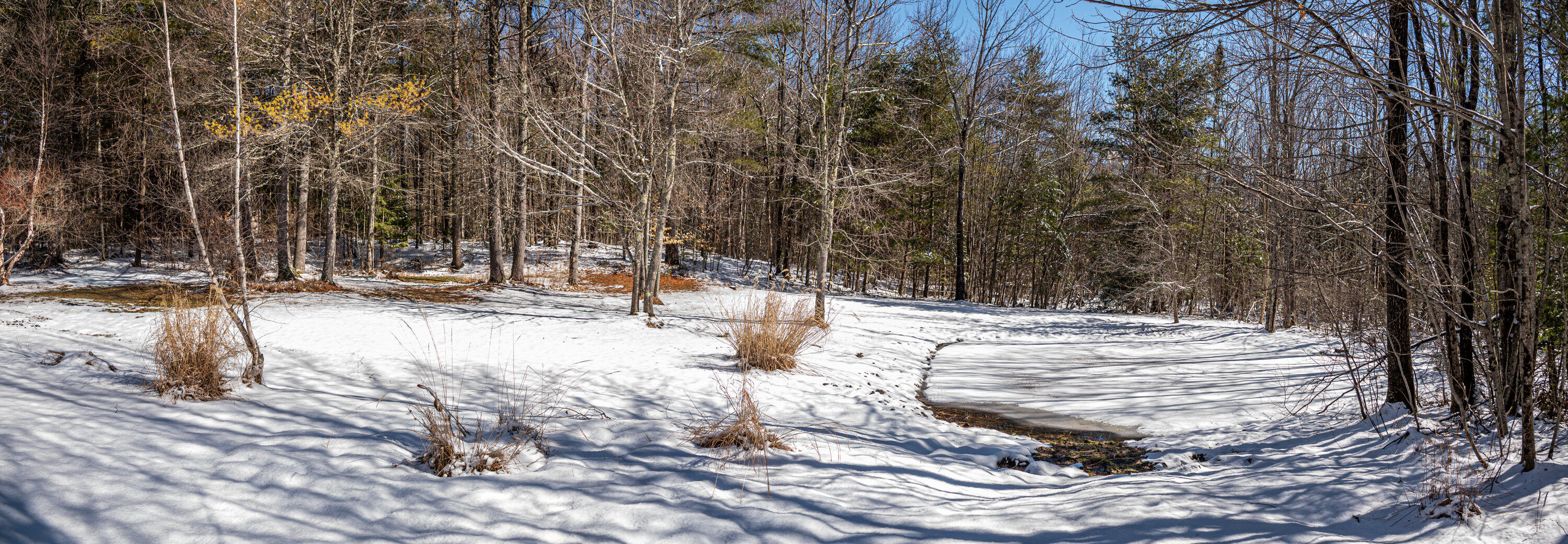 71 Fogg Road Buxton, ME 04093 - Photo 94 of 107 Exterior-