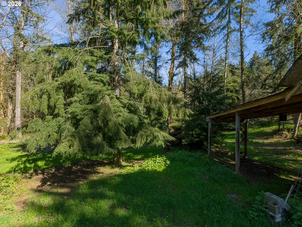 a view of backyard with green space