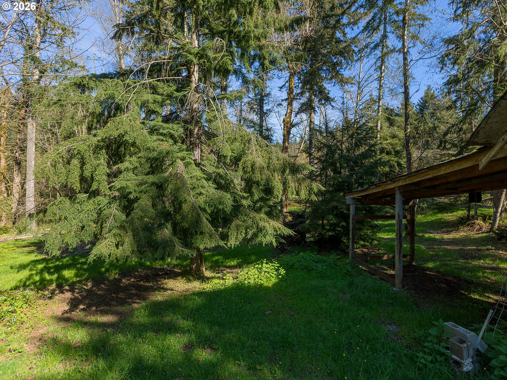 108 Longhorn Road Amboy, WA 98601 - Photo 34 of 37