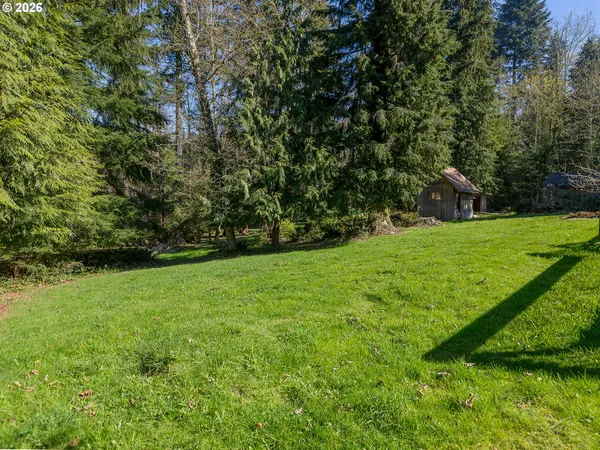 a view of field with grass and trees