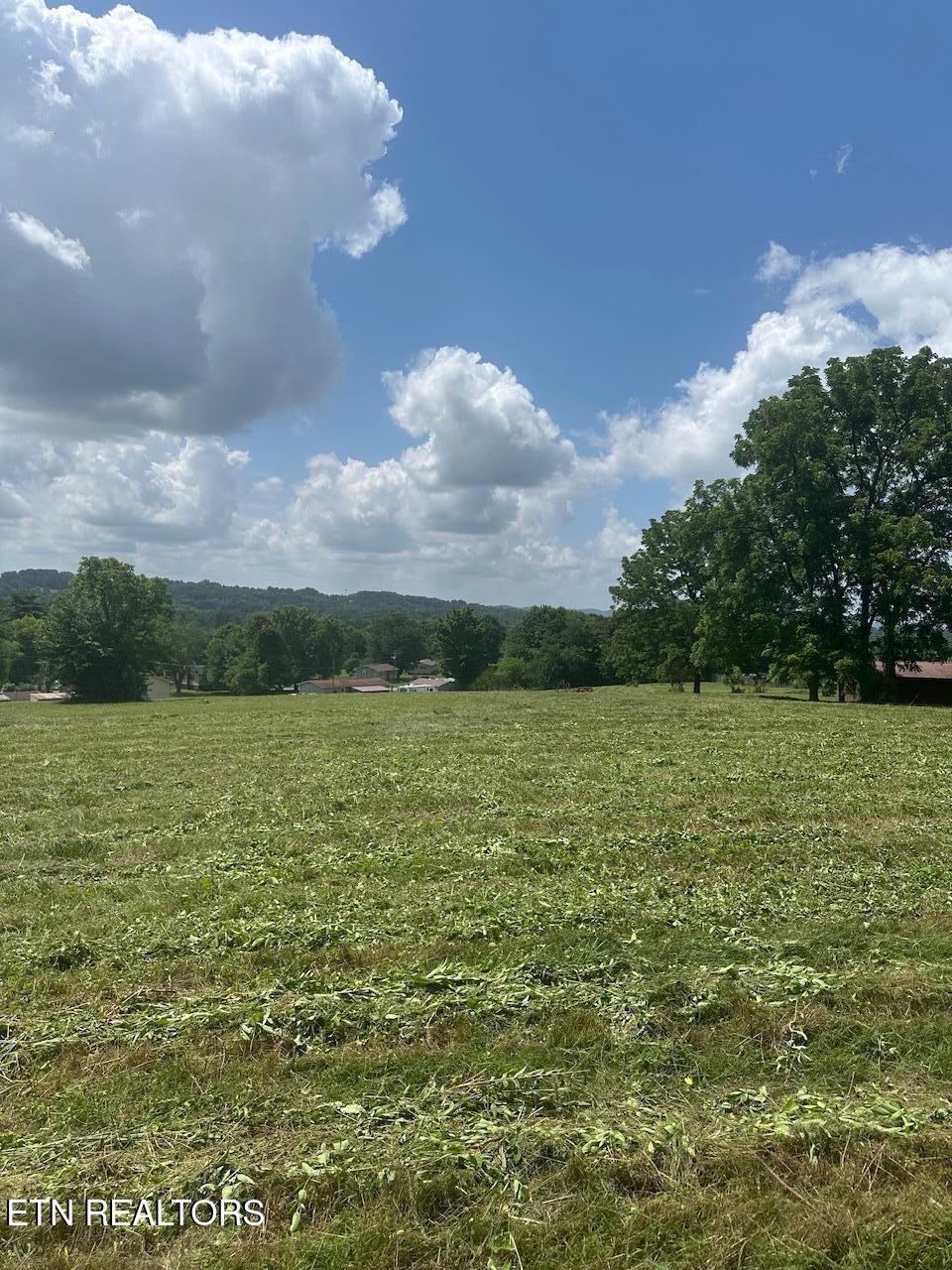 1035 Green Road Madisonville, TN 37354 - Photo 29 of 46 IMG_1203