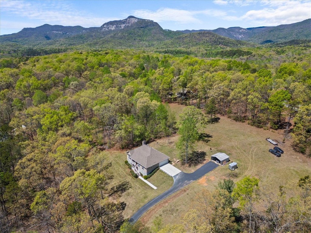 203 Ridge Springs Road Cleveland, SC 29635 - Photo 33 of 38 203 Ridge Springs Rd. Cleveland SC 29635