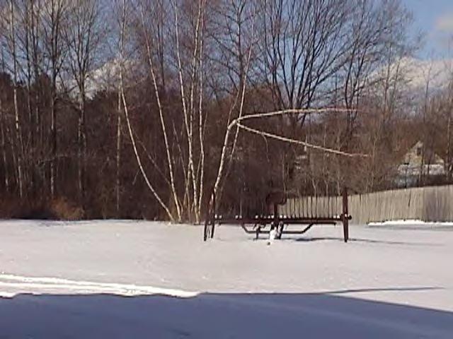 155 Robinson Road Hinsdale, MA 01235 - Photo 4 of 4 Additional Photo
