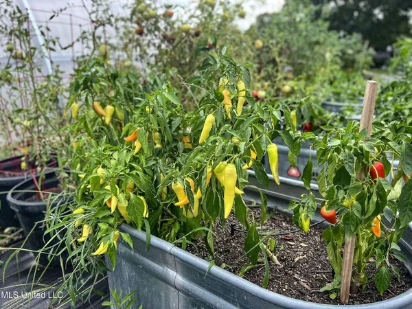 $450,000 | 14912 B 35th Highway, Batesville, MS 38606