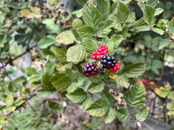 $450,000 | 14912 B 35th Highway, Batesville, MS 38606