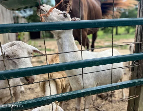 $450,000 | 14912 B 35th Highway, Batesville, MS 38606