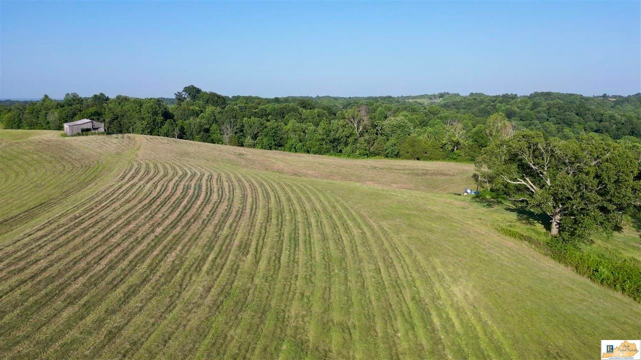 2417 Weed-Keltner Road Edmonton, KY 42129 - Photo 78 of 93 Gallery Image 78