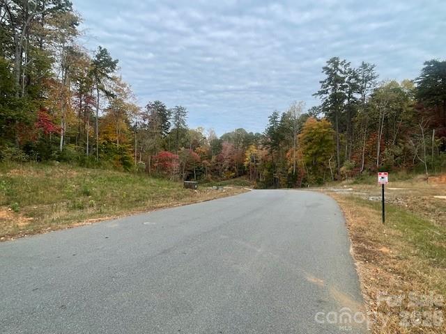 0 Enchanted Way Denver, NC 28037 - Photo 10 of 12 a view of a yard with trees