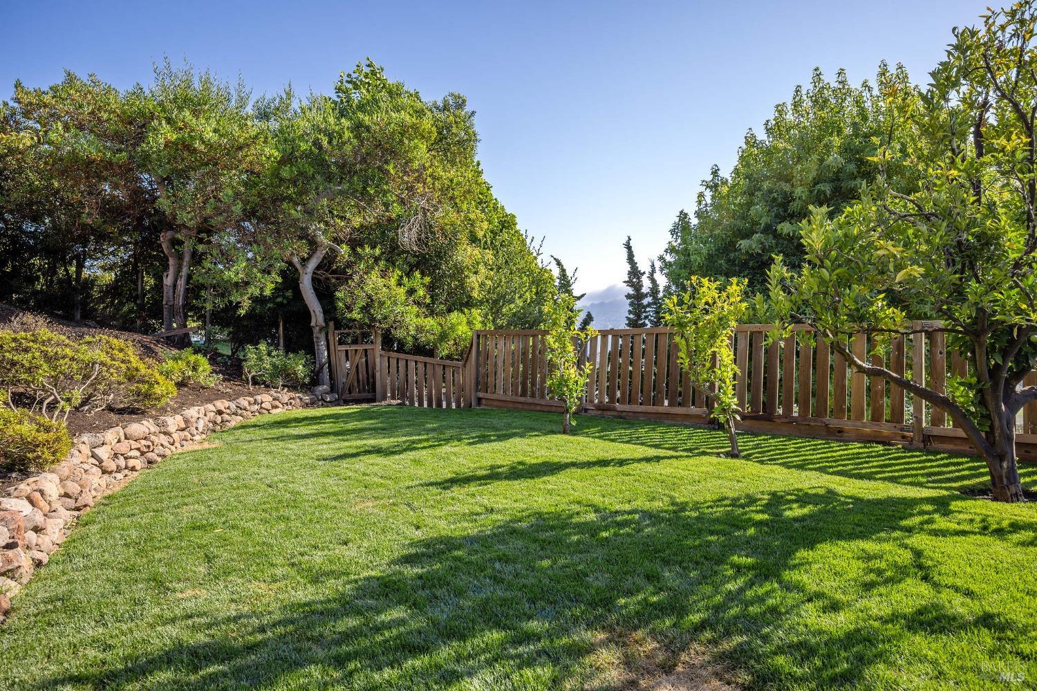 115 Geldert Drive Tiburon, CA 94920 - Photo 50 of 57 a backyard of a house with trees and outdoor seating