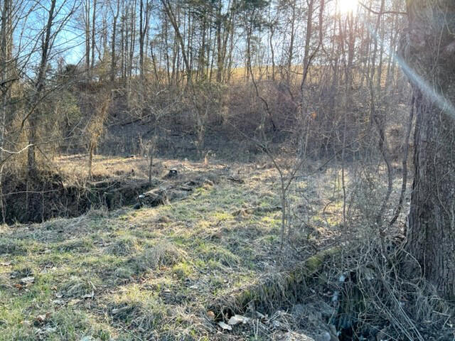 501 Tomlinson Road, Unit 185 Pennington Gap, VA 24277 - Photo 11 of 12 Pix. 13