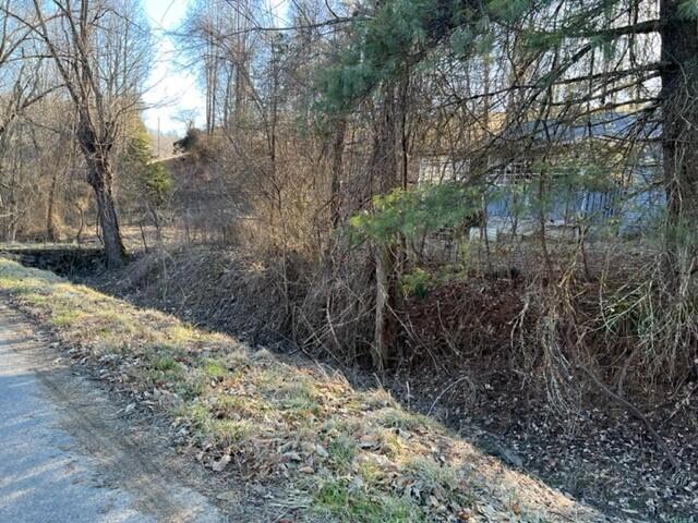 501 Tomlinson Road, Unit 185 Pennington Gap, VA 24277 - Photo 2 of 12 Pix. 2