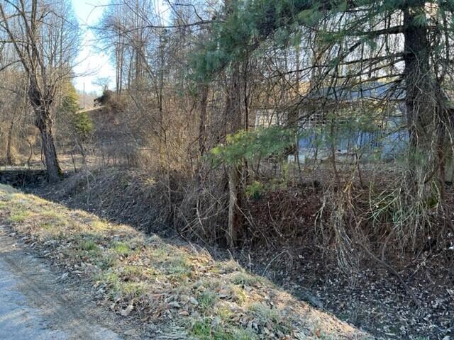 501 Tomlinson Road, Unit 185 Pennington Gap, VA 24277 - Photo 3 of 12 Pix. 3