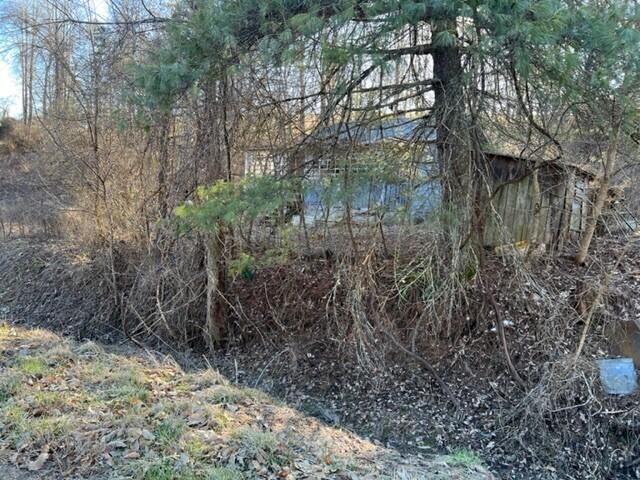 501 Tomlinson Road, Unit 185 Pennington Gap, VA 24277 - Photo 4 of 12 Pix. 4