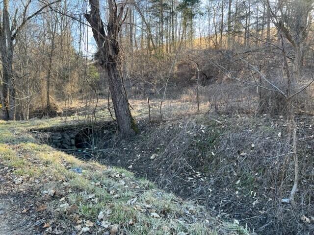 501 Tomlinson Road, Unit 185 Pennington Gap, VA 24277 - Photo 5 of 12 Pix. 6