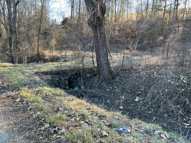 501 Tomlinson Road, Unit 185 Pennington Gap, VA 24277 - Photo 6 of 12 Pix. 7