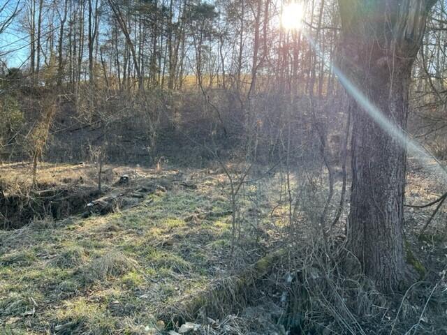 501 Tomlinson Road, Unit 185 Pennington Gap, VA 24277 - Photo 8 of 12 Pix. 12