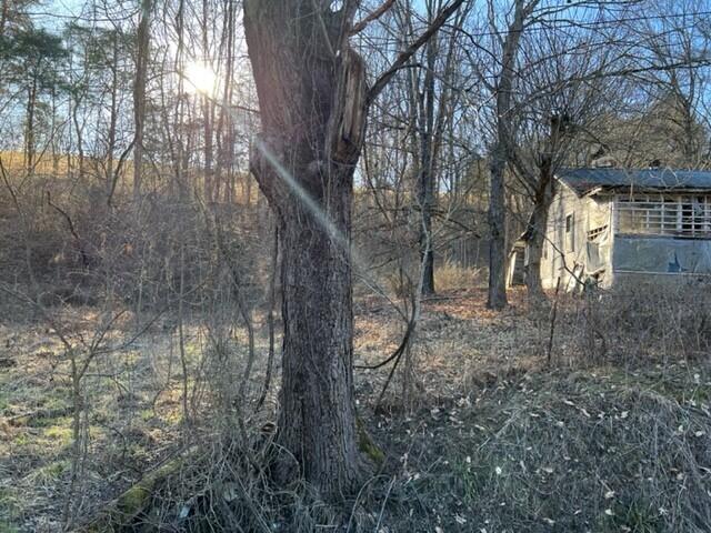 501 Tomlinson Road, Unit 185 Pennington Gap, VA 24277 - Photo 10 of 12 Pix. 11