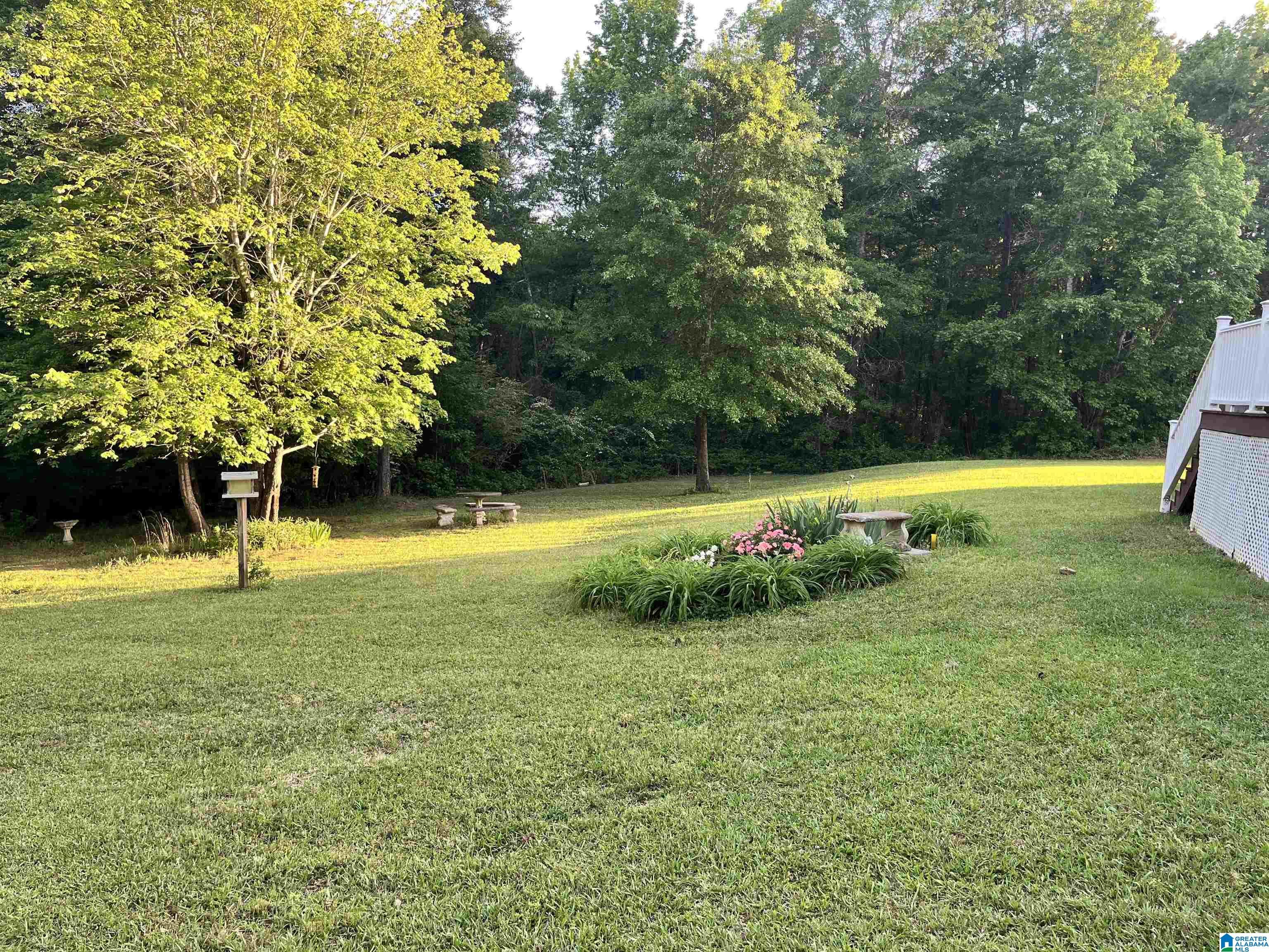 1672 Mt Moriah Road Pell City, AL 35125 - Photo 30 of 34