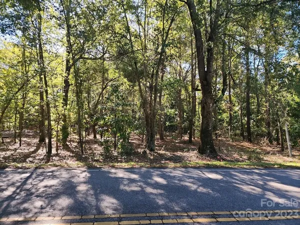 a view of a tree in the middle of a yard