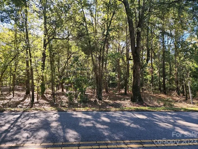 a view of a tree in the middle of a yard