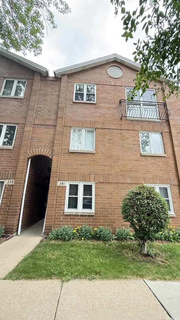 341 West 24th Street, Unit 3 Chicago, IL 60616 - Photo 1 of 12