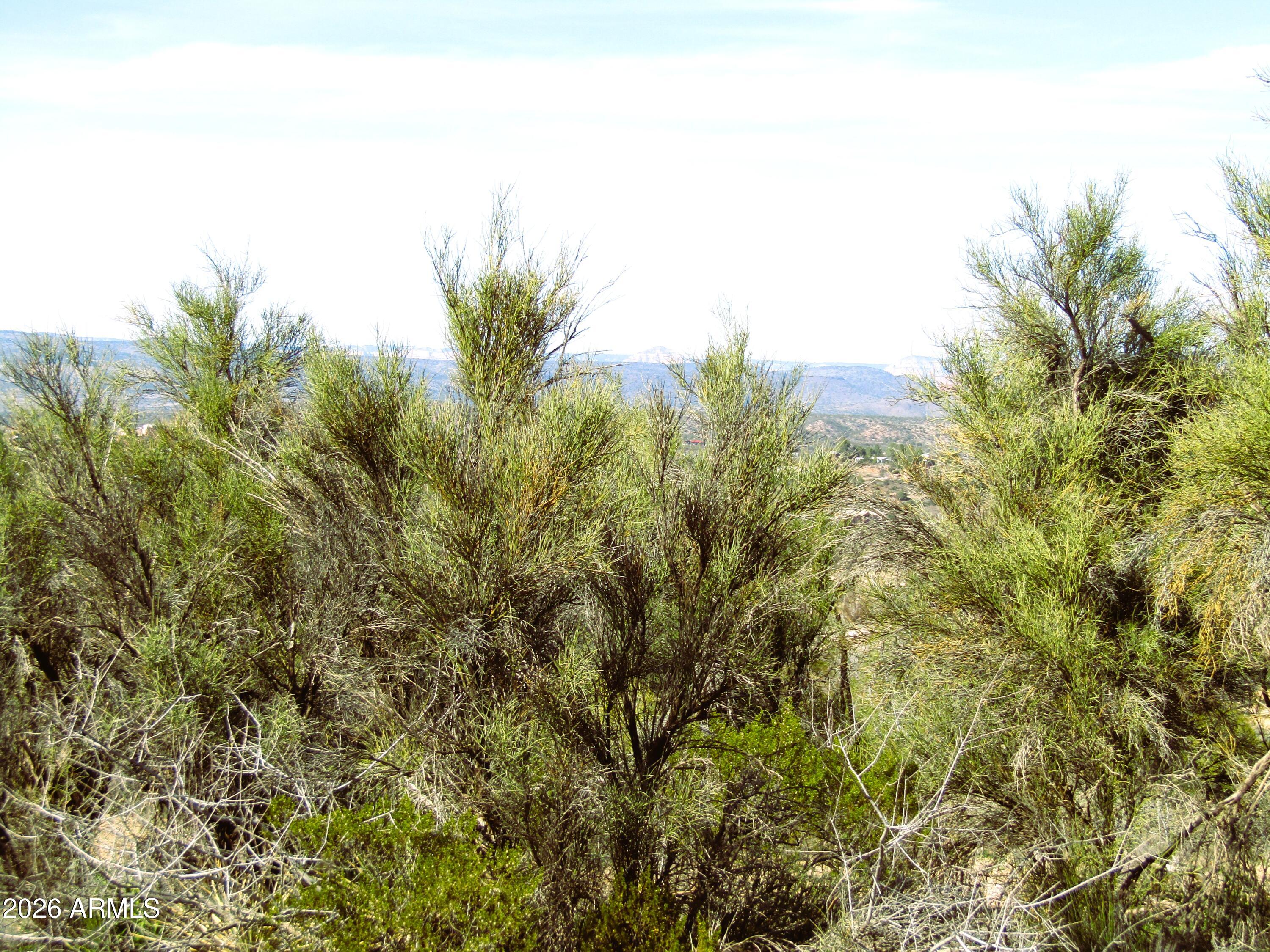 3430 East Kearney Trail, Unit 33 Rimrock, AZ 86335 - Photo 11 of 15 a view of a yard
