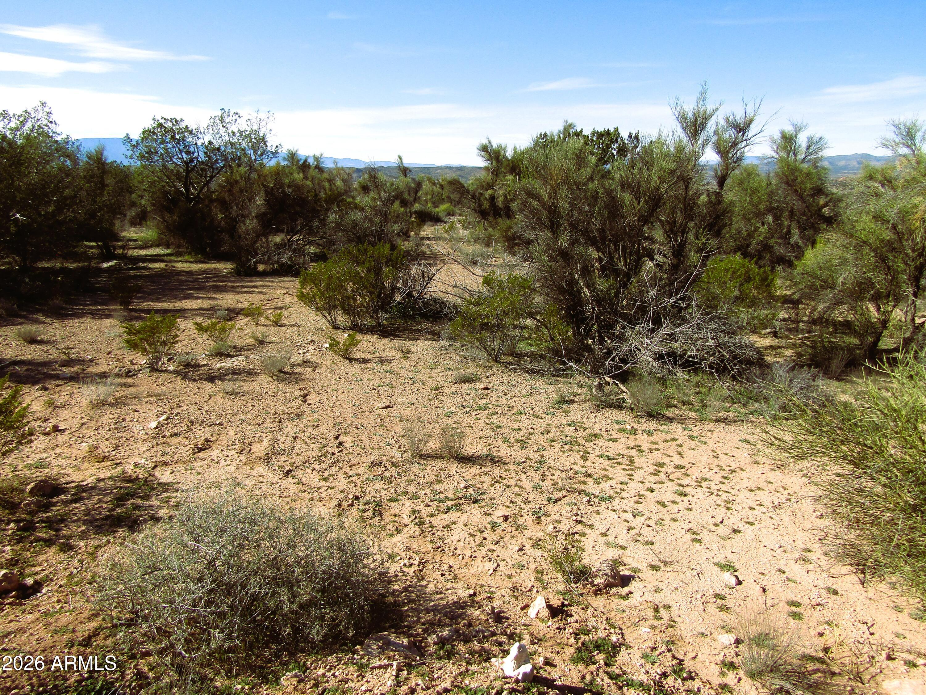 3430 East Kearney Trail, Unit 33 Rimrock, AZ 86335 - Photo 13 of 15 a view of a yard with trees