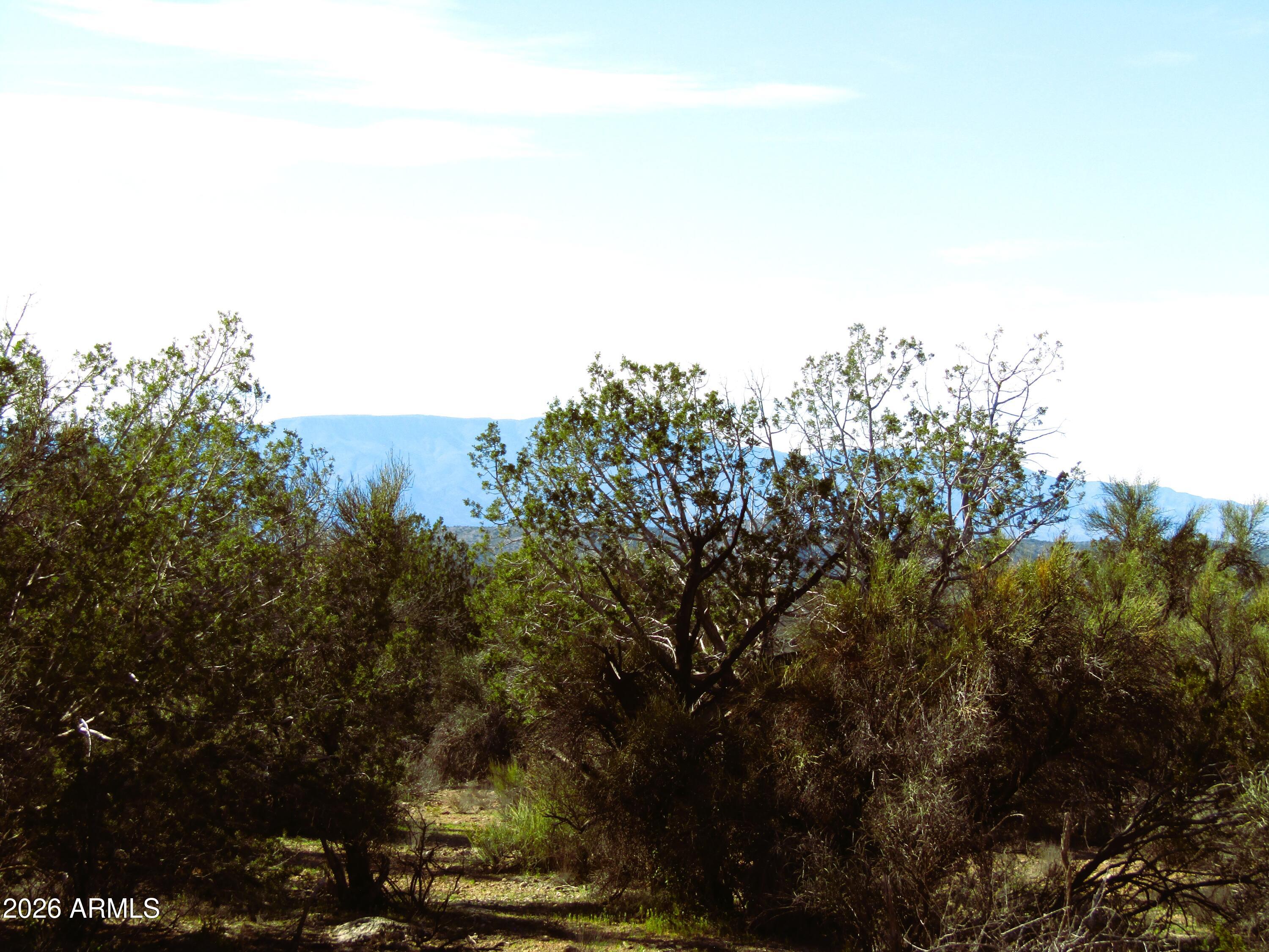 3430 East Kearney Trail, Unit 33 Rimrock, AZ 86335 - Photo 14 of 15 a view of outdoor space and yard