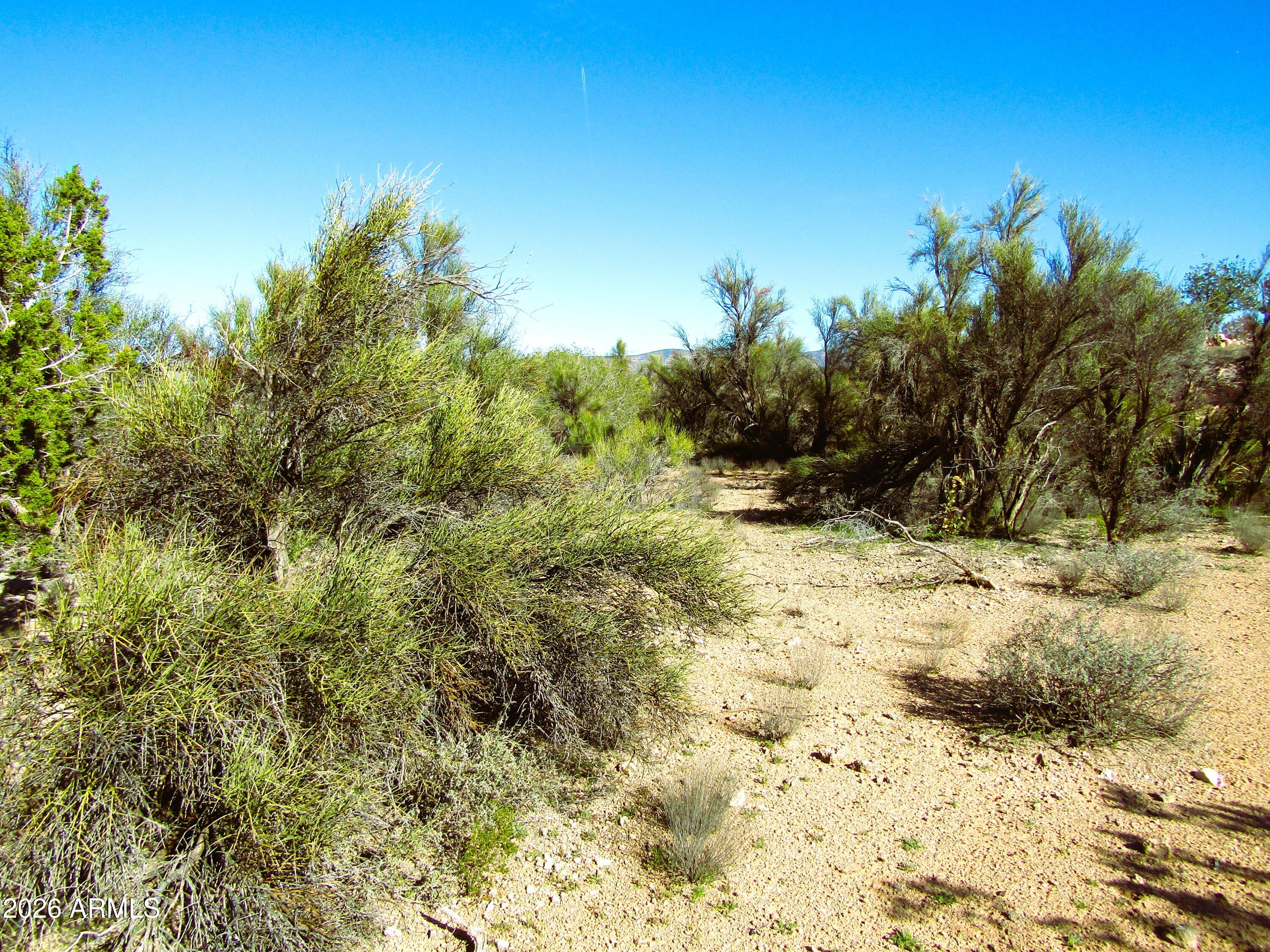 3430 East Kearney Trail, Unit 33 Rimrock, AZ 86335 - Photo 7 of 15 a view of a yard with a tree