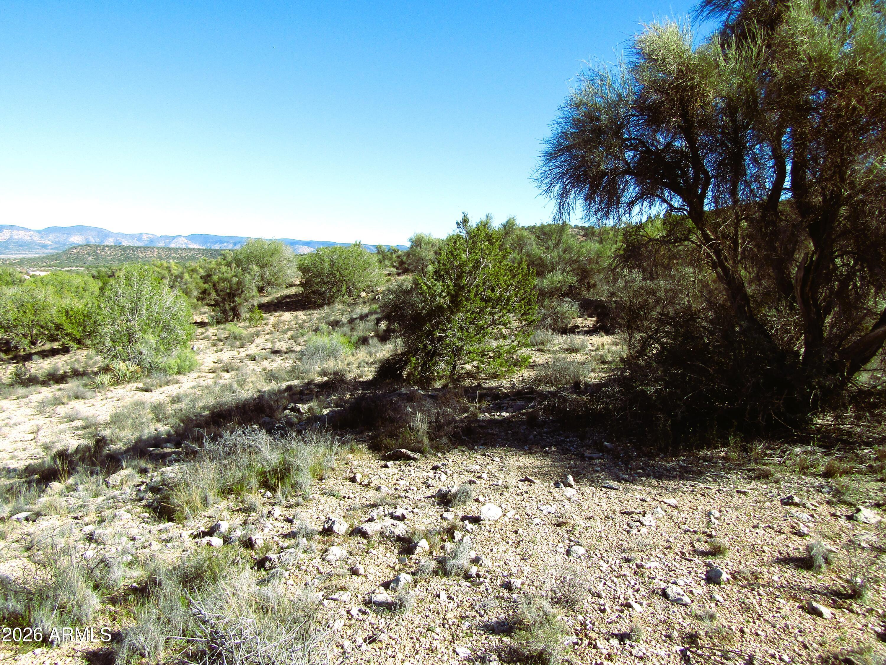 3430 East Kearney Trail, Unit 33 Rimrock, AZ 86335 - Photo 9 of 15 a view of a yard with plants and trees