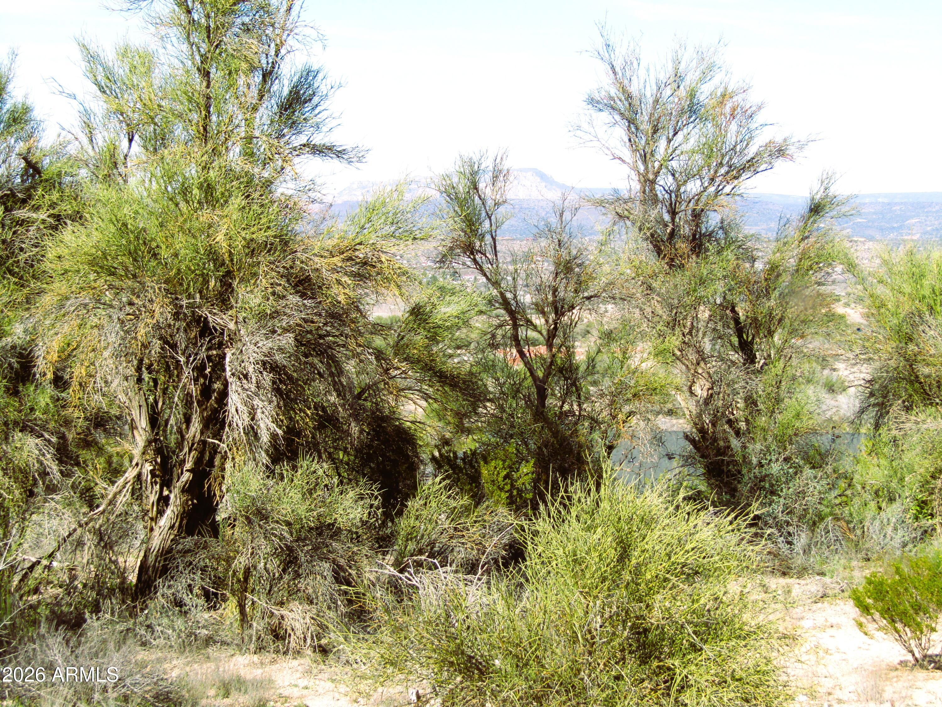 3430 East Kearney Trail, Unit 33 Rimrock, AZ 86335 - Photo 10 of 15 a view of a yard