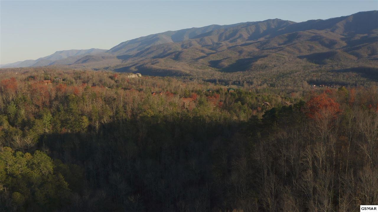 314 Hickey Road Sevierville, TN 37876 - Photo 2 of 36
