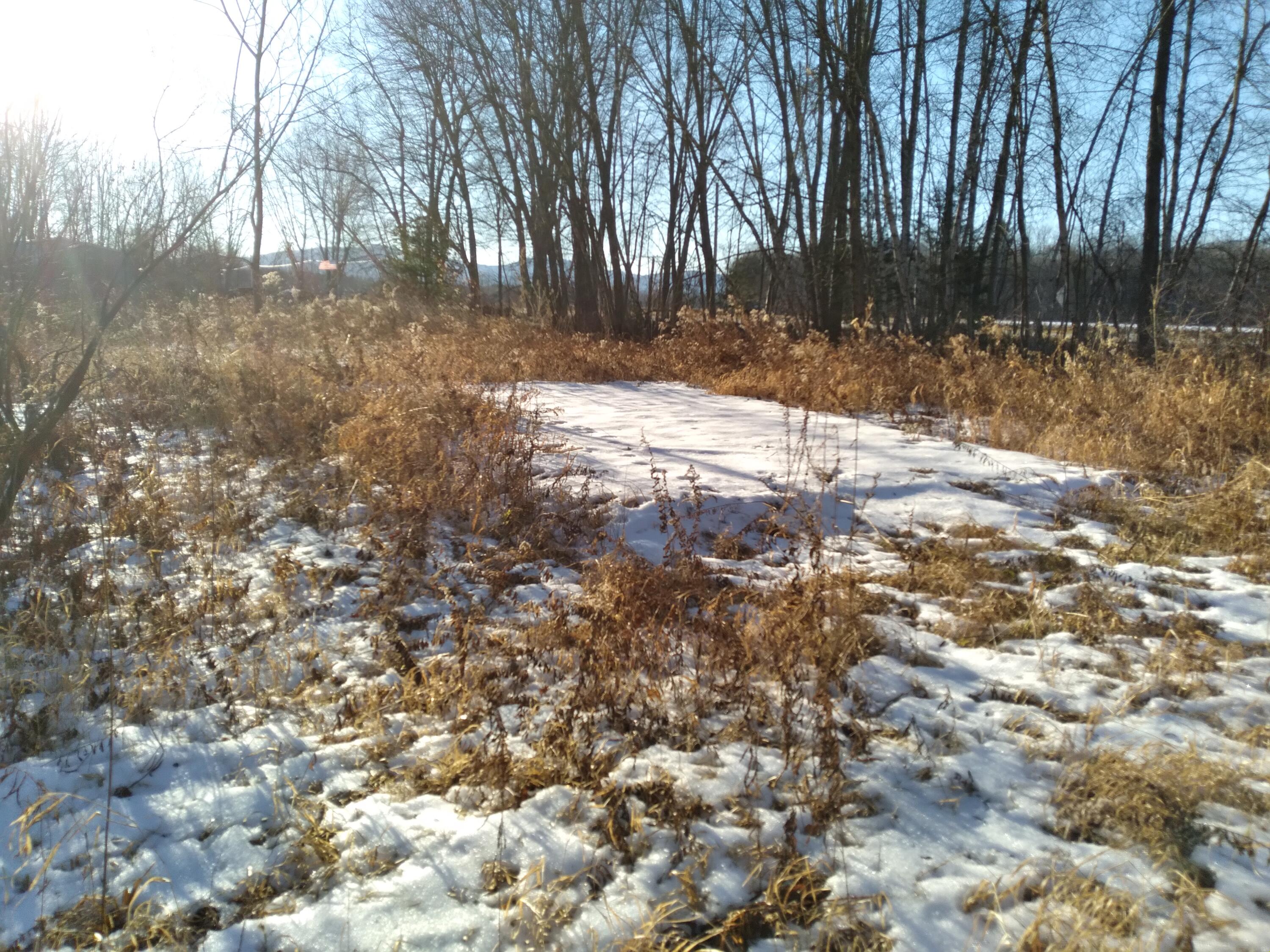 0 Mc Neil Road Fryeburg, ME 04037 - Photo 18 of 19 20211217_142415