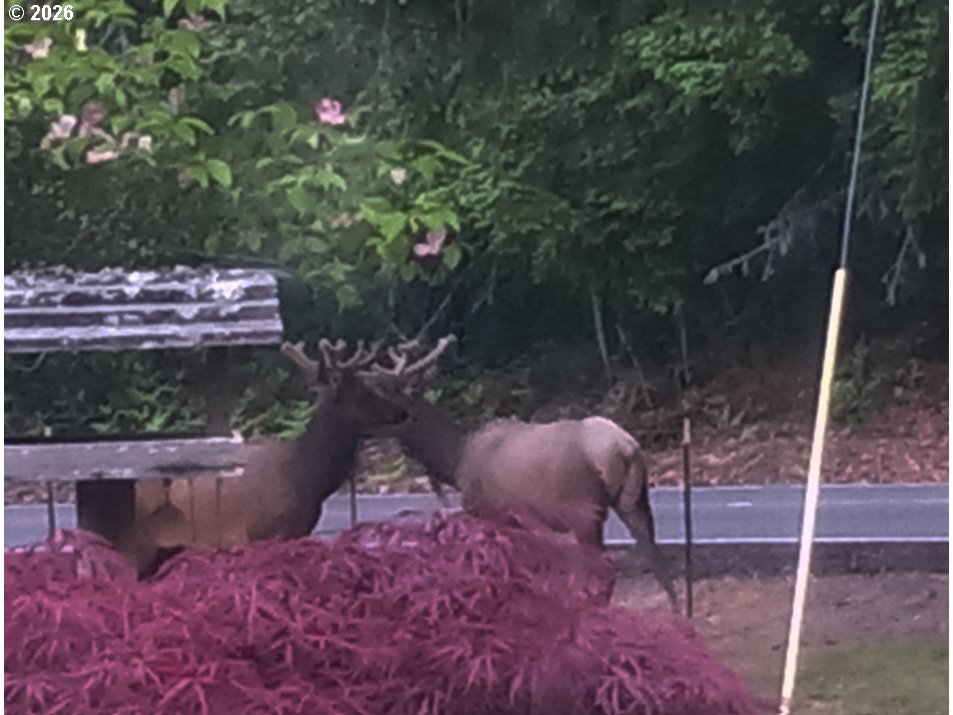 55240 McDonald Road Vernonia, OR 97064 - Photo 14 of 26